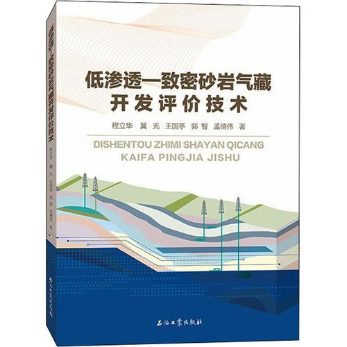 低滲透-致密砂巖氣藏開發評價技術 程立華 等 著 地球物理學專業科技